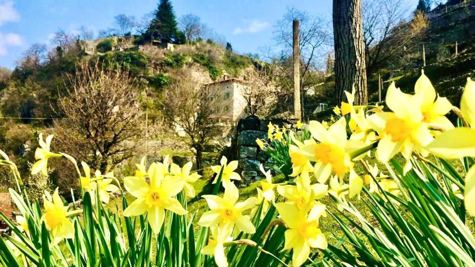 La Casa Sulla Collina Del Castello Βίλα Breno Εξωτερικό φωτογραφία