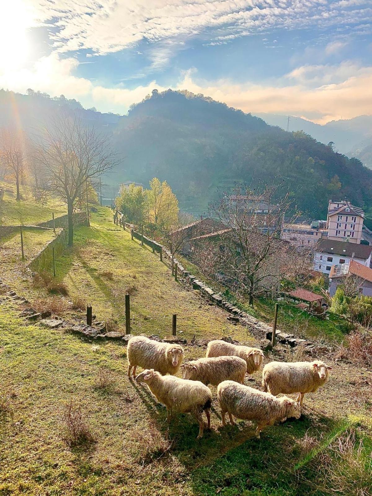 La Casa Sulla Collina Del Castello Βίλα Breno Εξωτερικό φωτογραφία